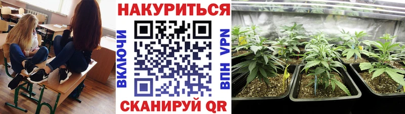 Купить закладки  Красноуральск  Каннабис план 